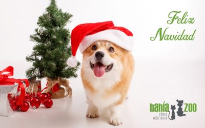 ¡Feliz Navidad y Próspero Año Nuevo!