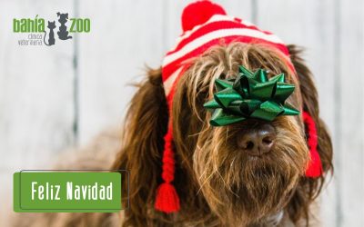 Felices fiestas y Pospero Año Nuevo