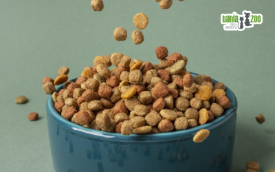 Errores comunes al cambiar la dieta de tu mascota