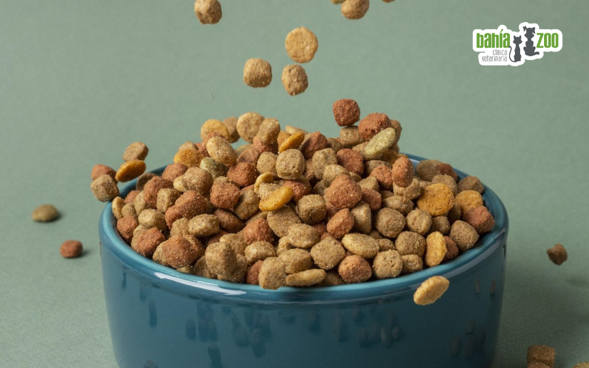 Cuenco con piienso para dieta de mascota